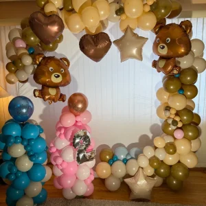 Balloon Arch and 2 Column Package